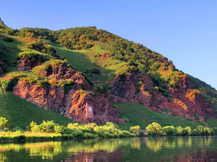 Restaurant Zur Traube — photo 13