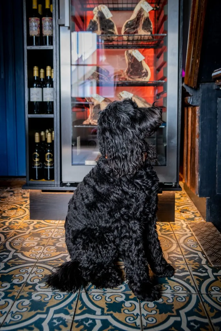 The Dog & Pickle — photo 76