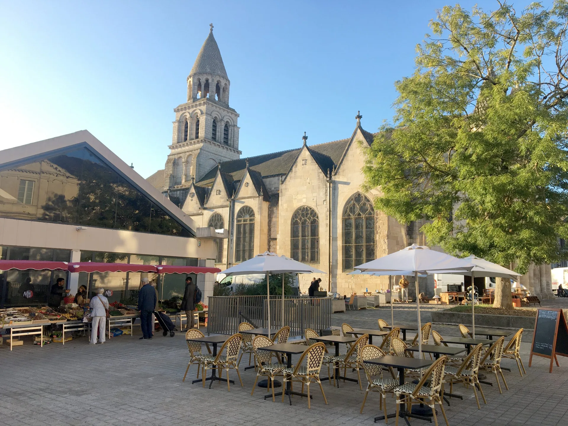 Grand Ours — photo 30