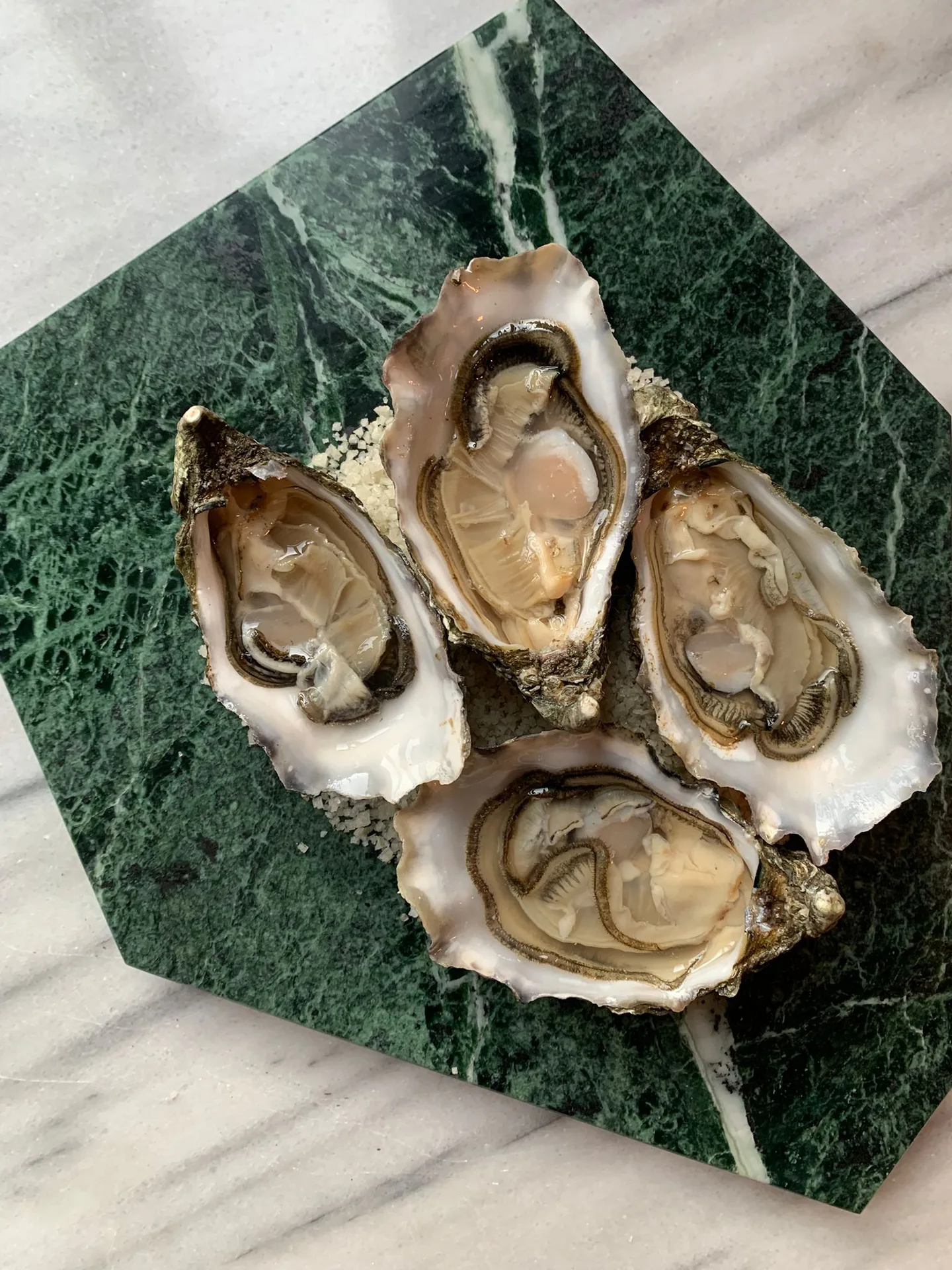 Beaucoup Fish — photo 42