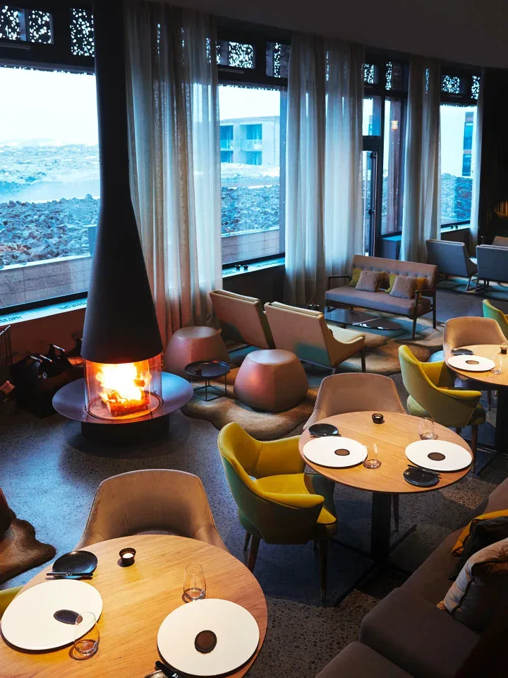 Moss Restaurant — atmosphere
