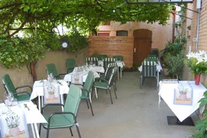 Rebstock La petite Provence — photo 6