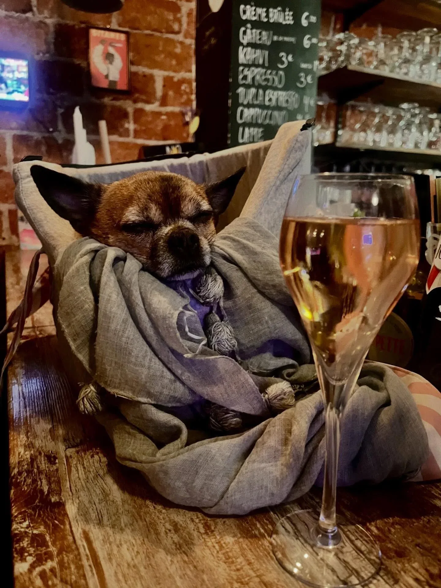 Apéro — photo 17