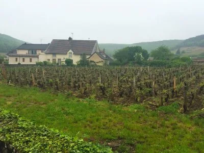 La Cave à Vin at Estérel Resort — photo 44