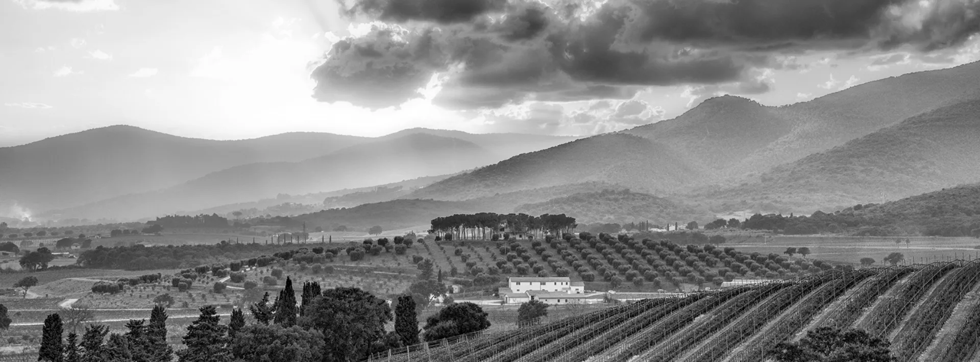 Cantinetta Antinori — photo 14