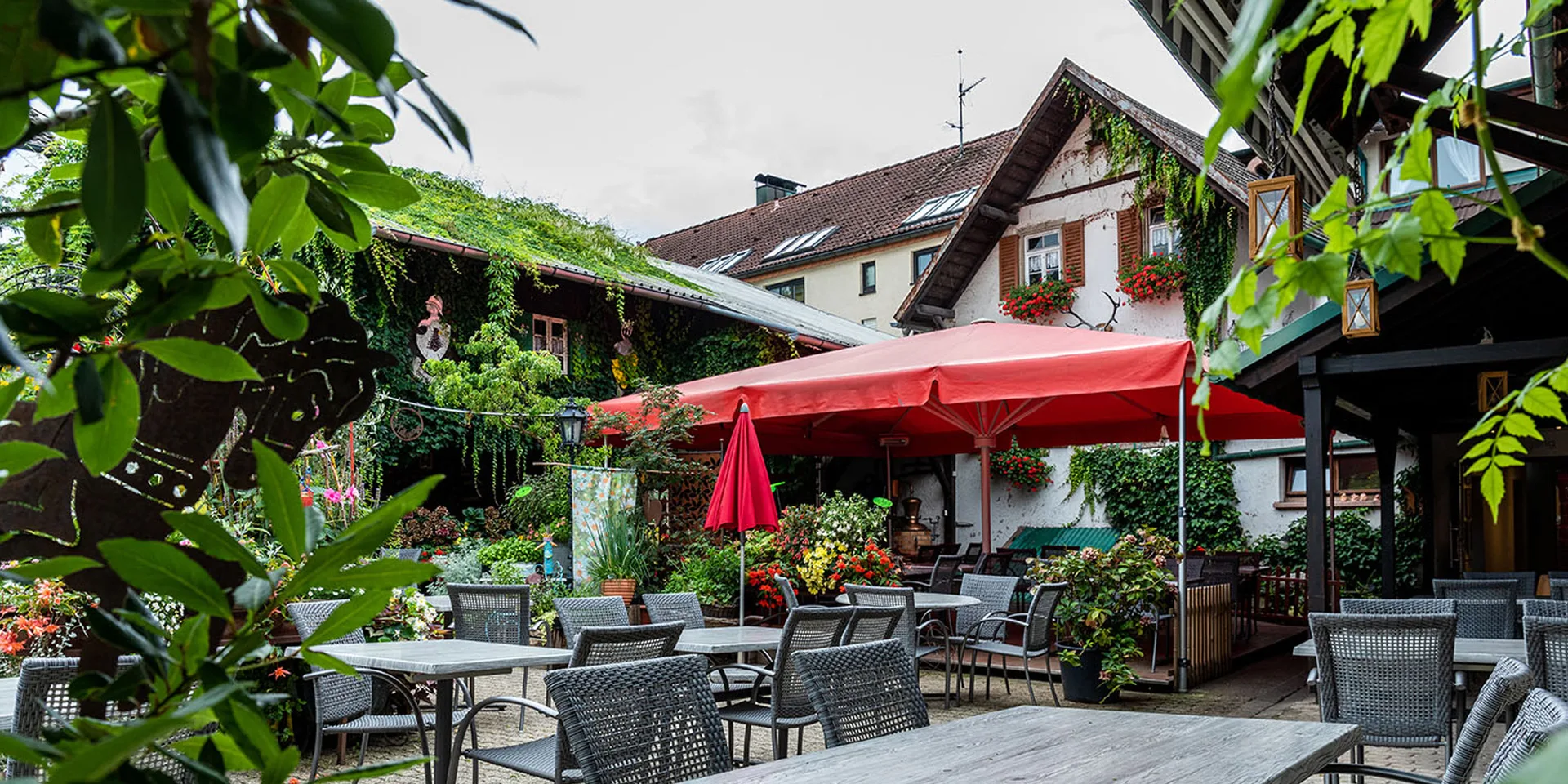 Kininger’s Hirsch — photo 60