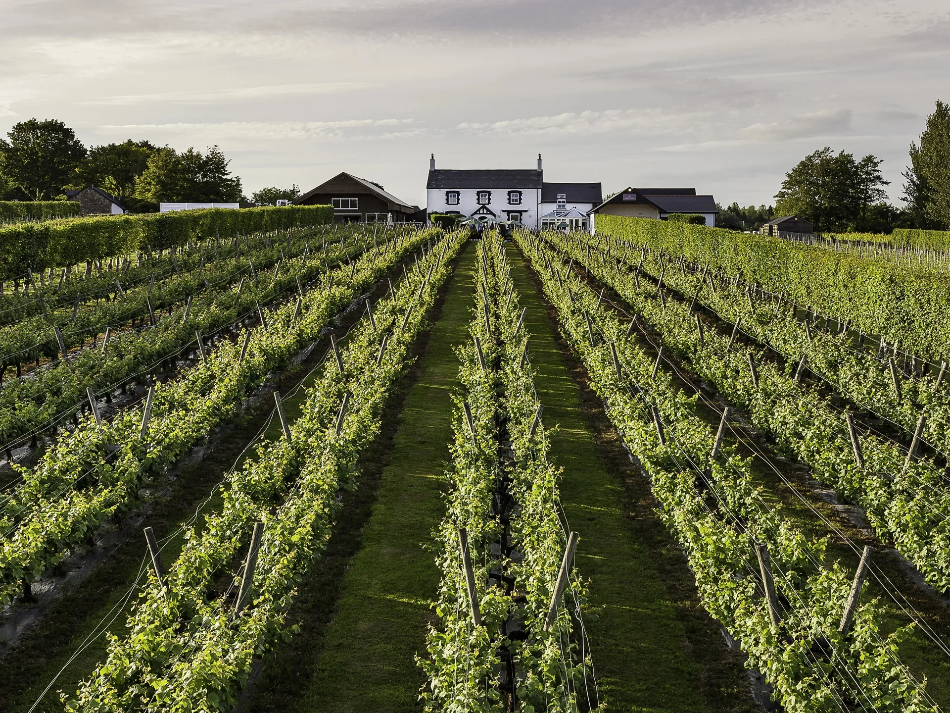 Llanerch Vineyard Hotel & Restaurant — photo 86