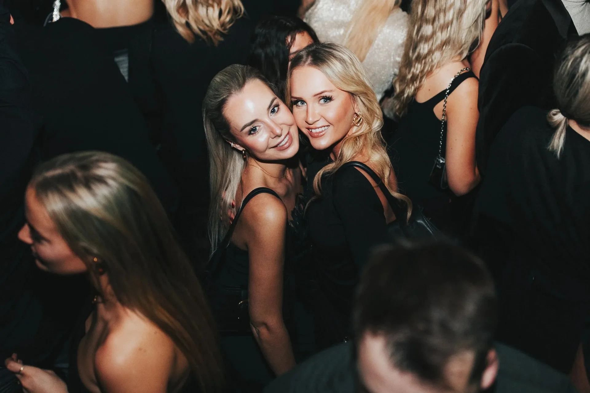 Maven — photo 56