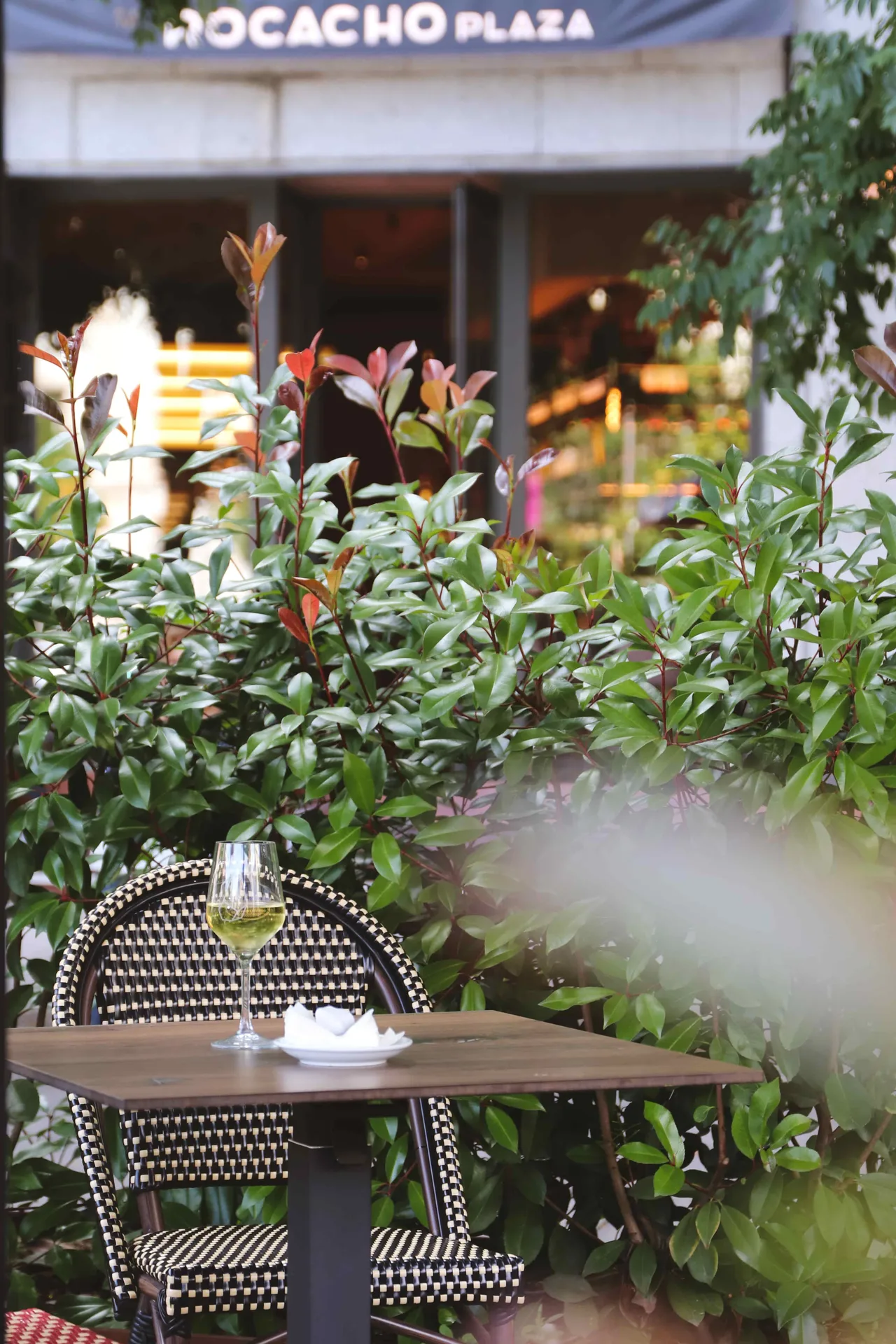Rocacho Plaza — photo 14