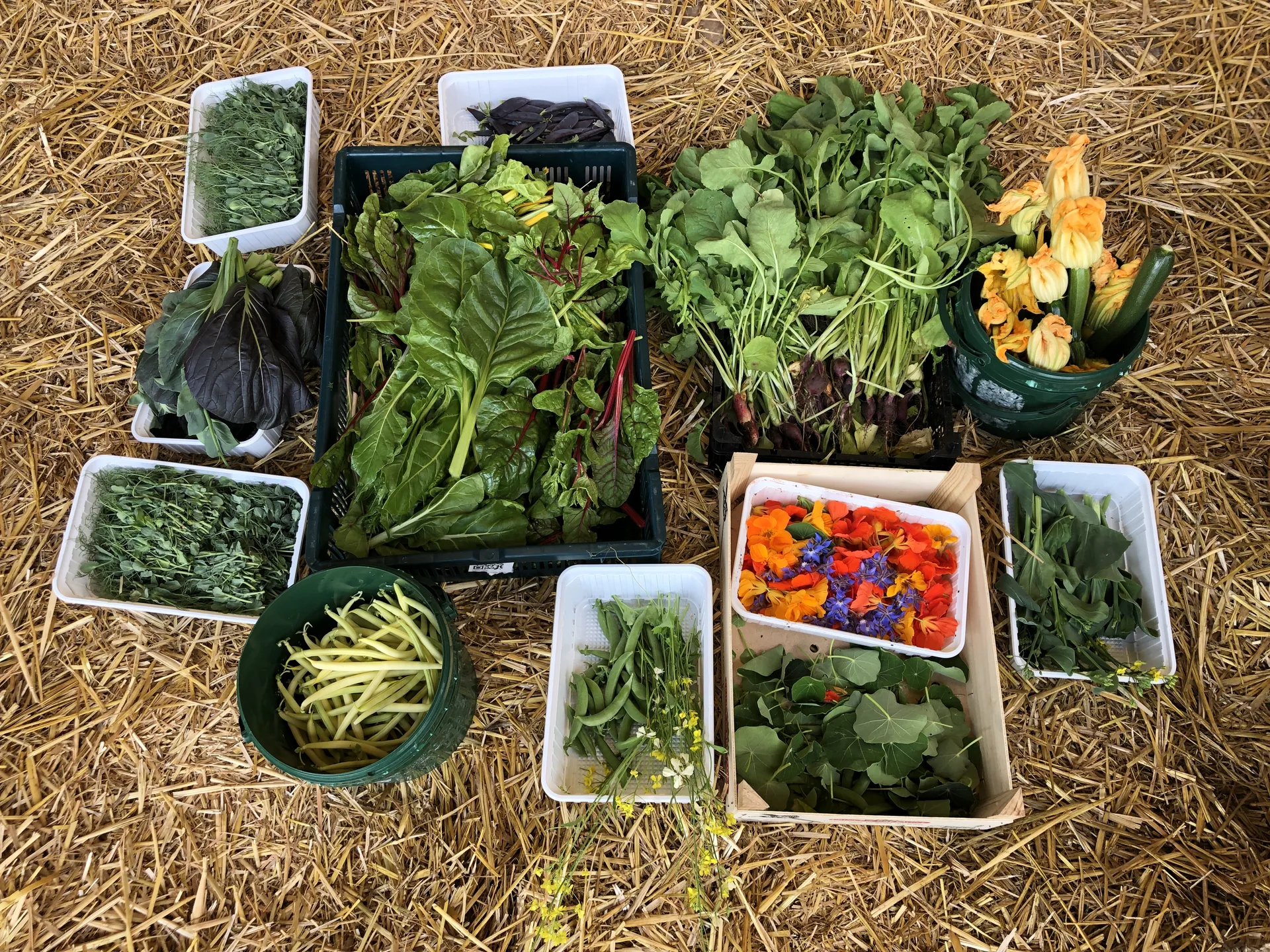 The Barn At Berryfields — photo 43