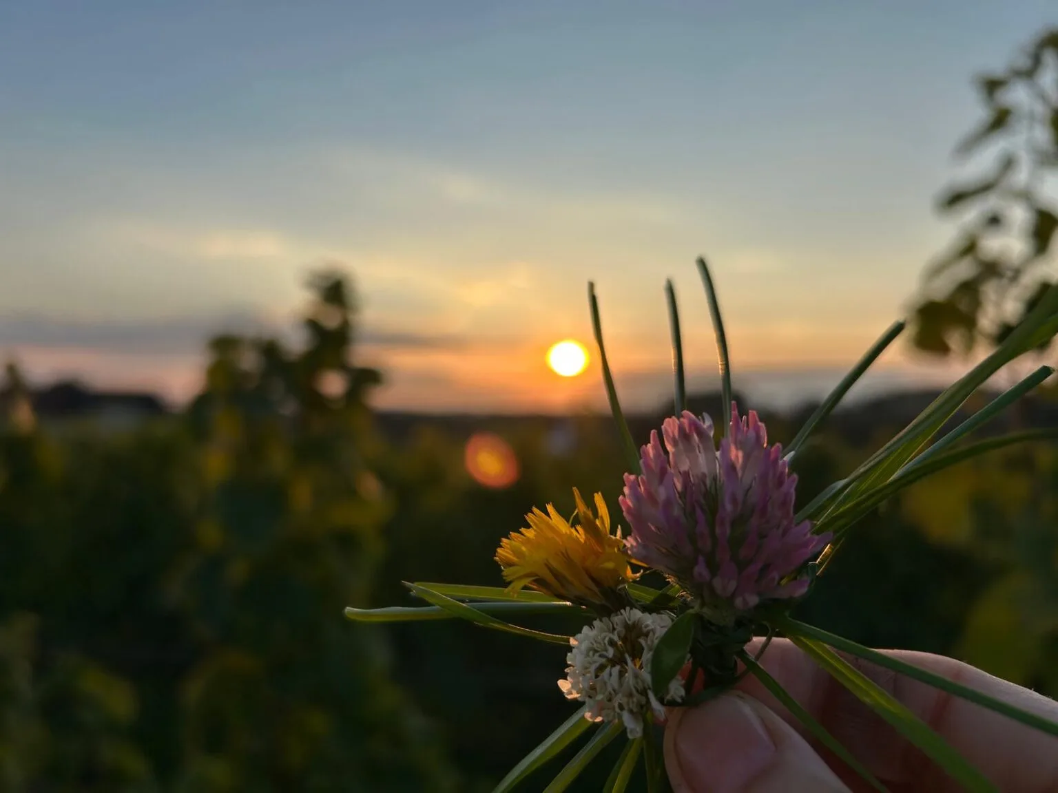 Marsnil — photo 5