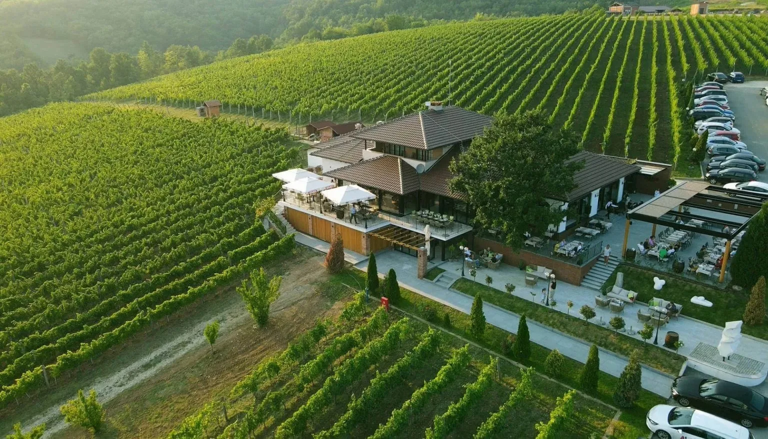 VINARIJA TARPOŠ — photo 70