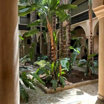 Al Fassia — photo 5