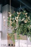Vert Frais, New York City