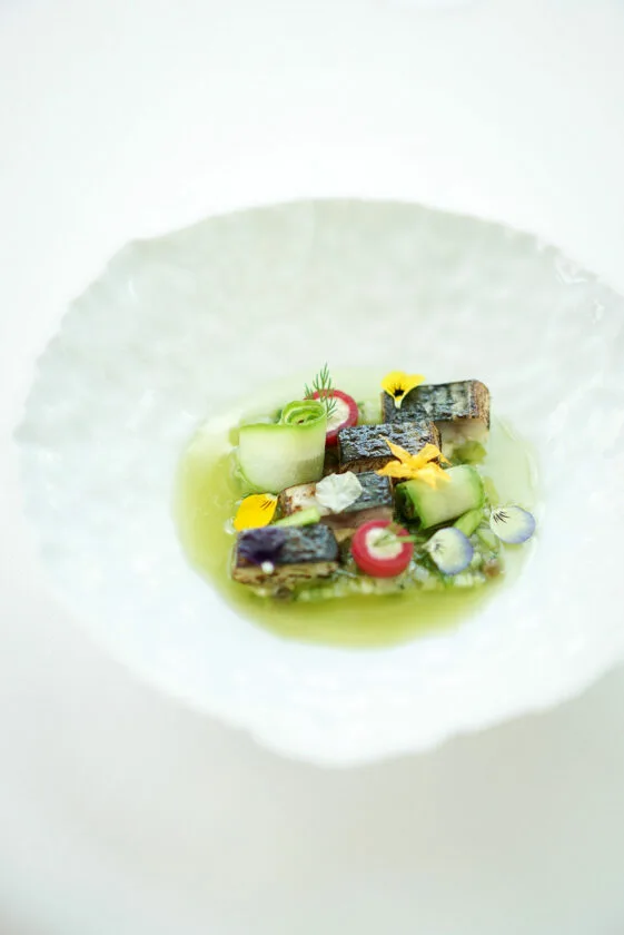 Alain Ducasse — photo 19