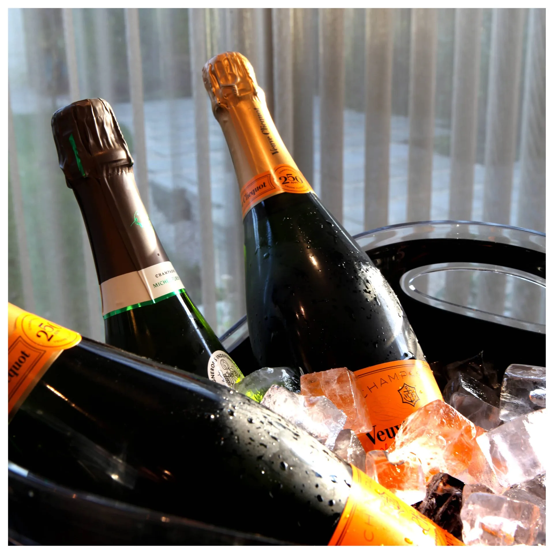Verjus — photo 15