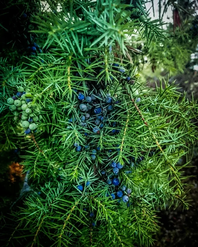 L'Inattendu — photo 5