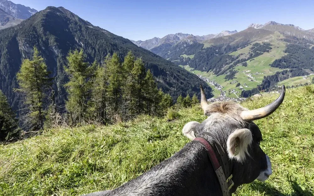 Geniesserstube im Alpenhof — photo 44
