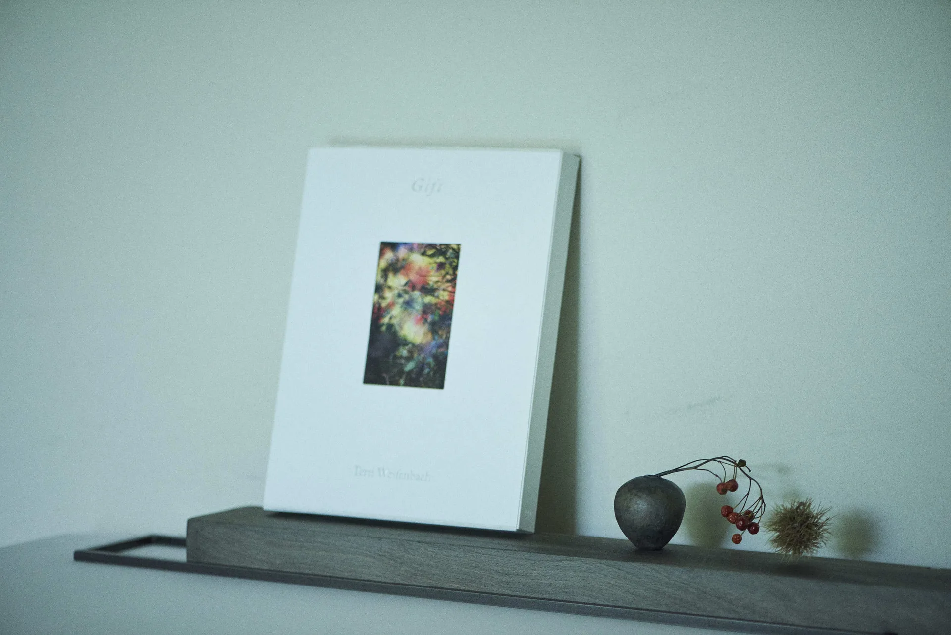 LACERBA — photo 8