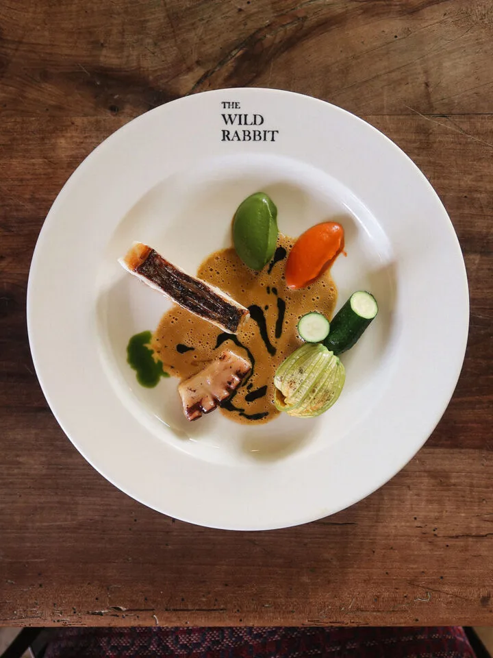 The Wild Rabbit — photo 24
