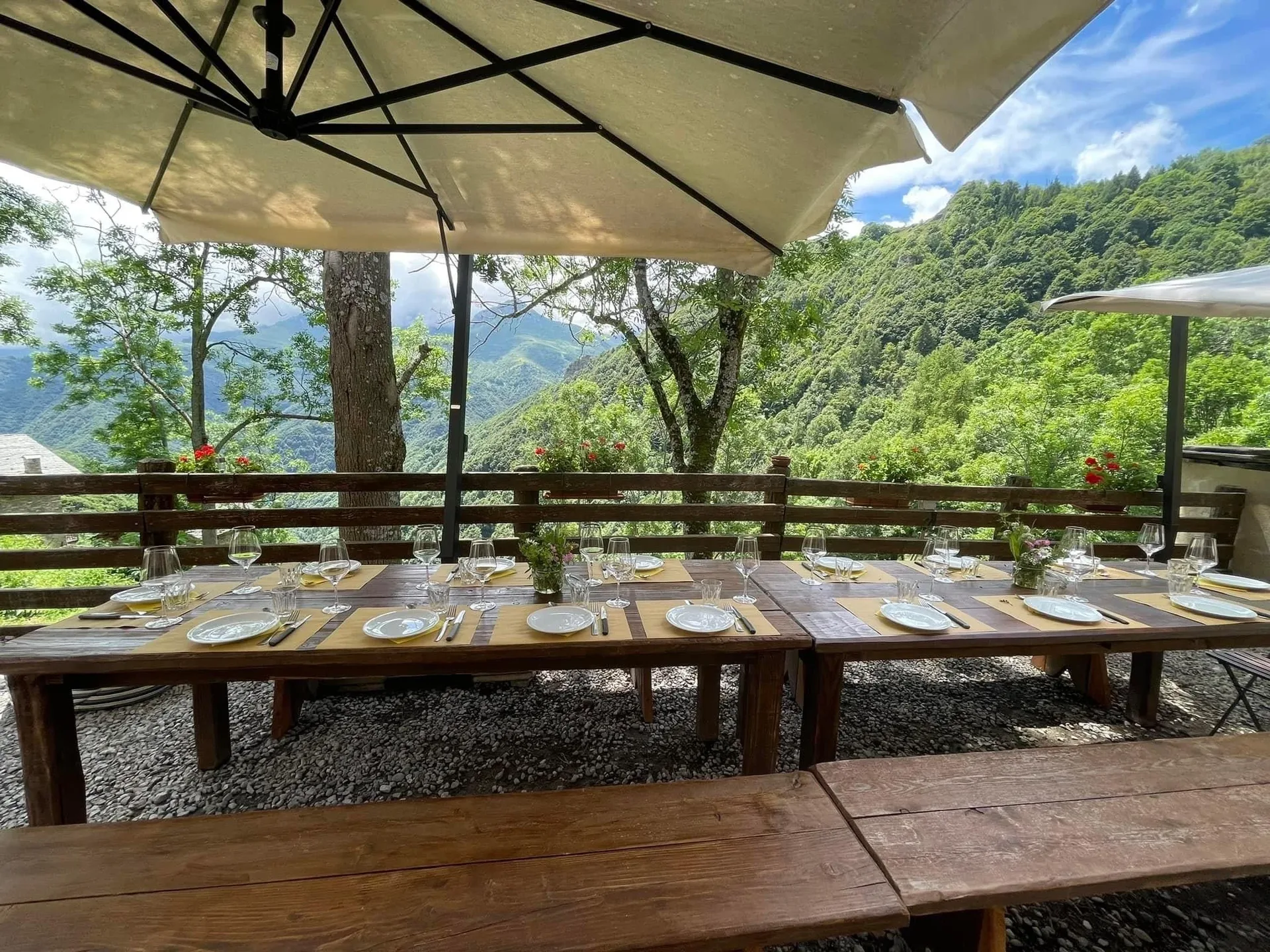 Barolo Grill — photo 41