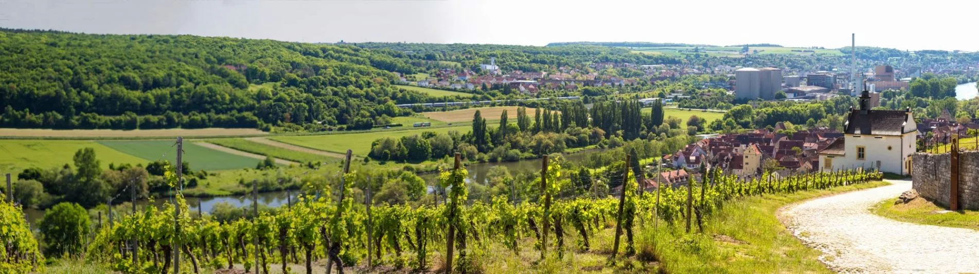 Ehrbar Fränkische Weinstube — photo 23