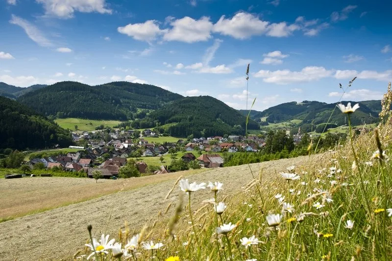 Gasthaus Linde — photo 17