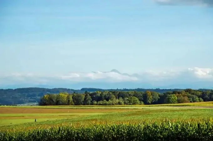 Wellnesshotel Golf Panorama — photo 12