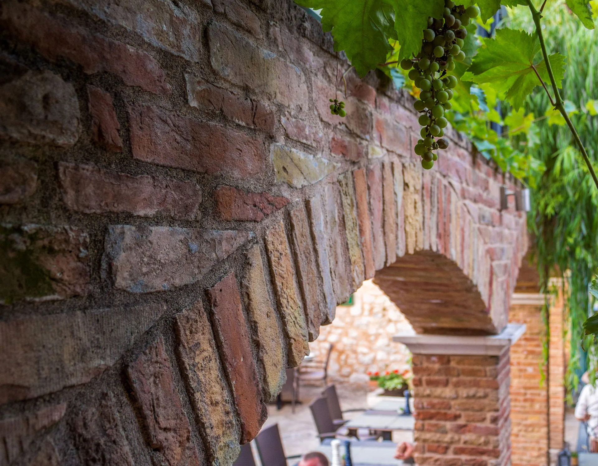 Cantinetta — photo 36