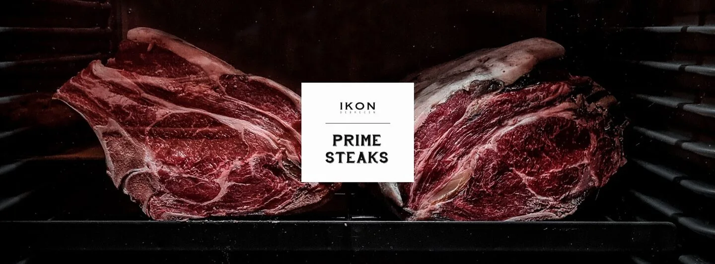 IKON — photo 9