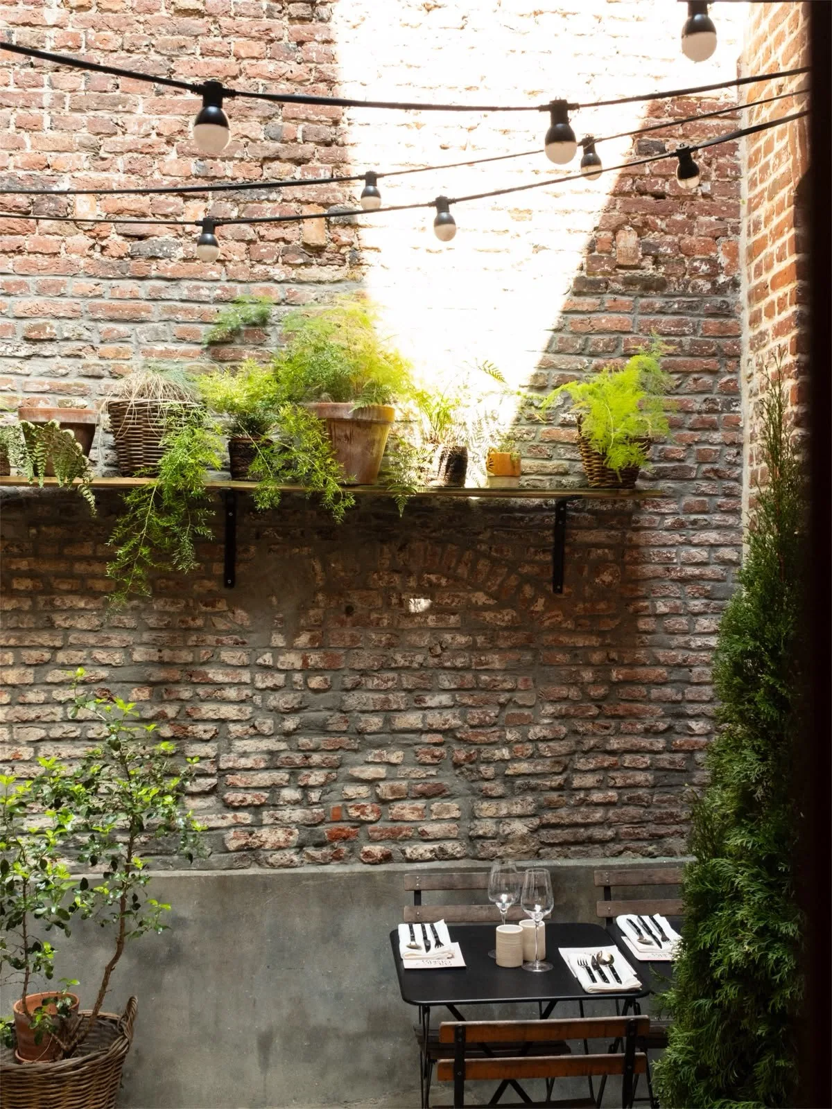 Chez Georges — photo 10