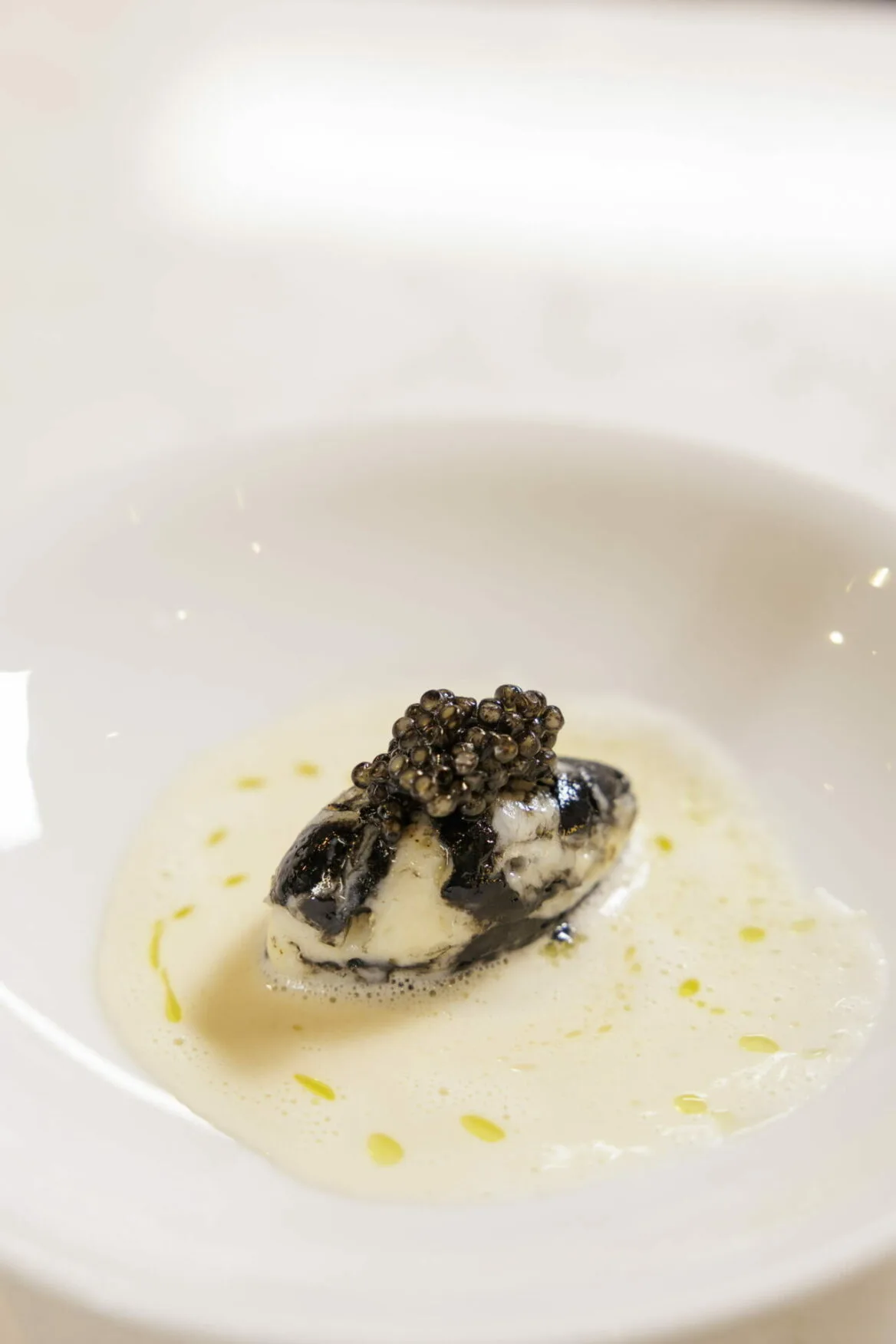 LANGOUSTE — photo 8