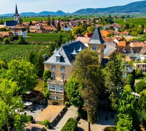 Schloss Edesheim - Gourmet-Restaurant — photo 46