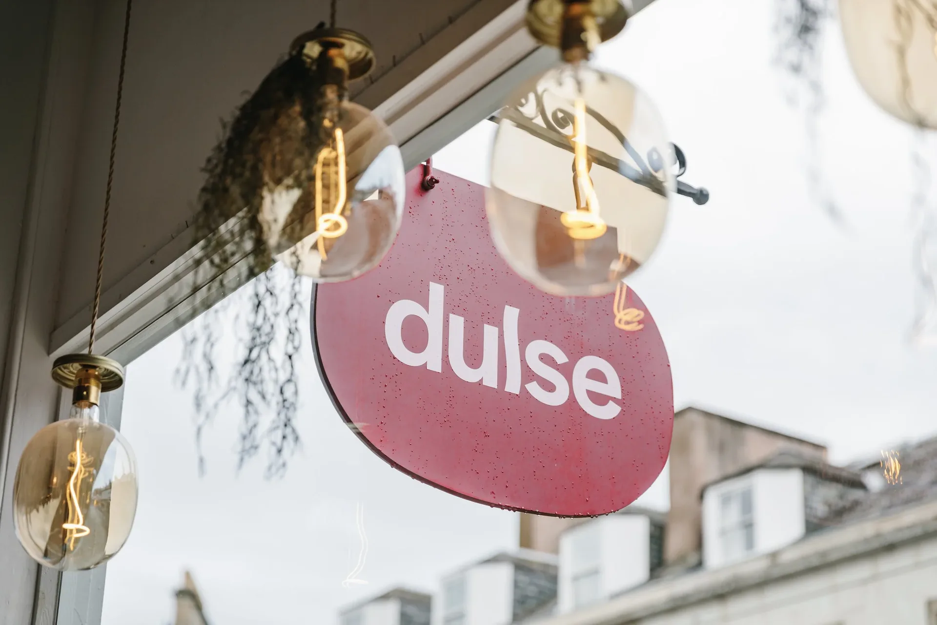 Dulse — photo 17