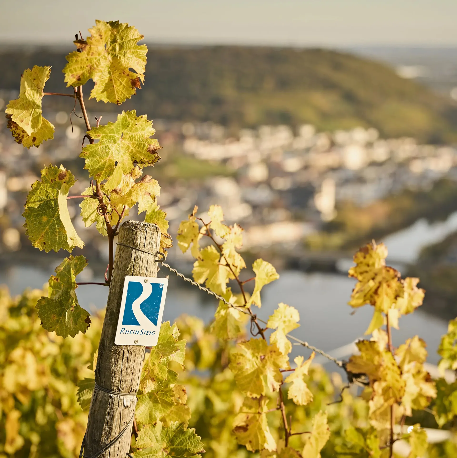 Zum Alten Fritz — photo 27