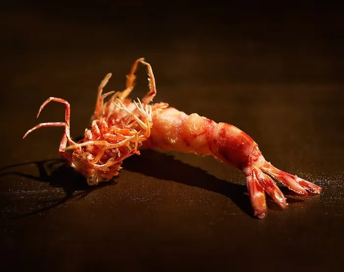 Tempura Mizuki — food