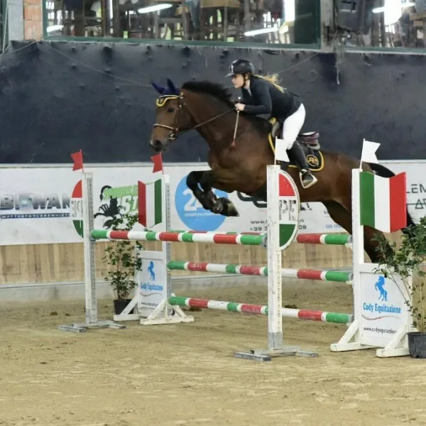 Al Segnavento — photo 8