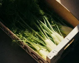 Montrose — food