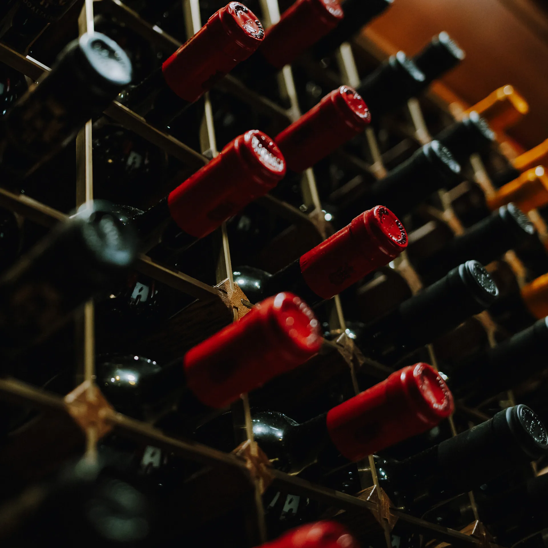 Cantinetta Antinori — photo 30