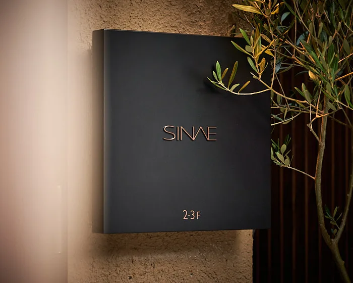SINAE — photo 14