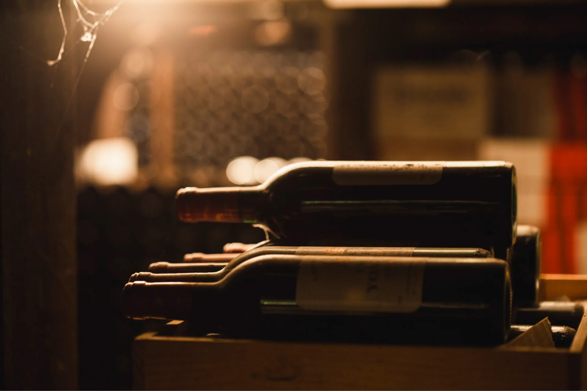 Bodega Española — photo 15