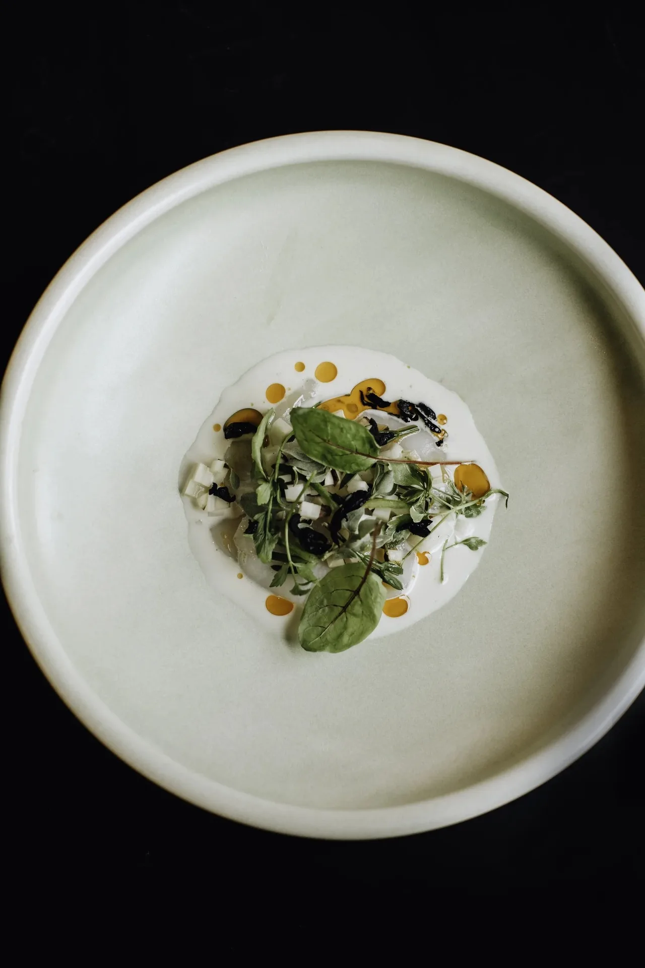 John Dory — photo 14