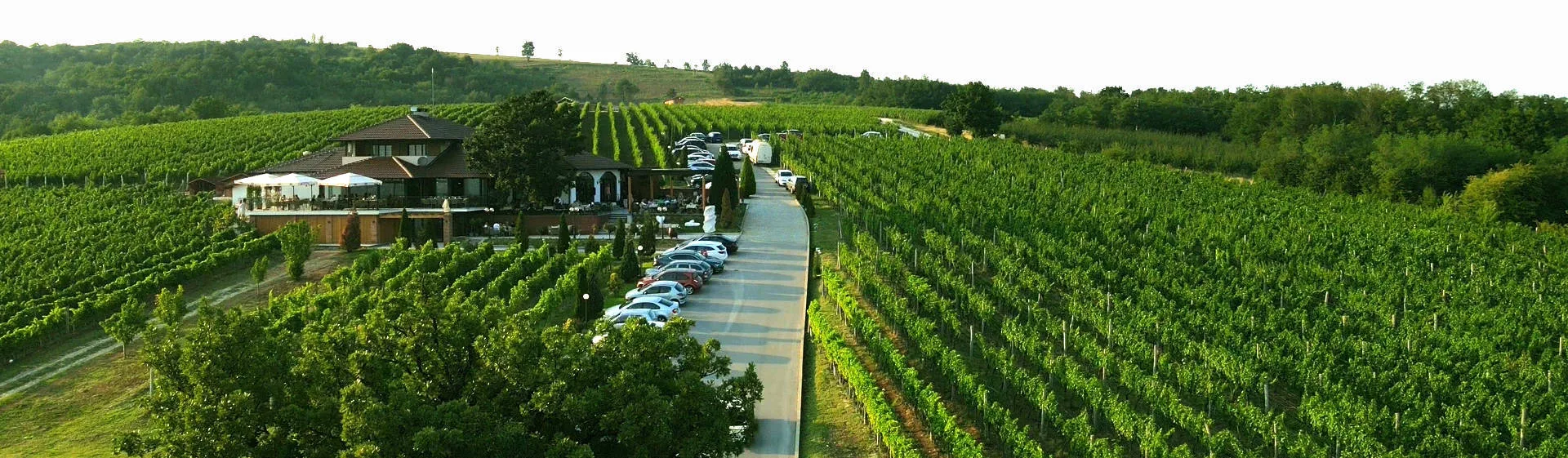 VINARIJA TARPOŠ — photo 67