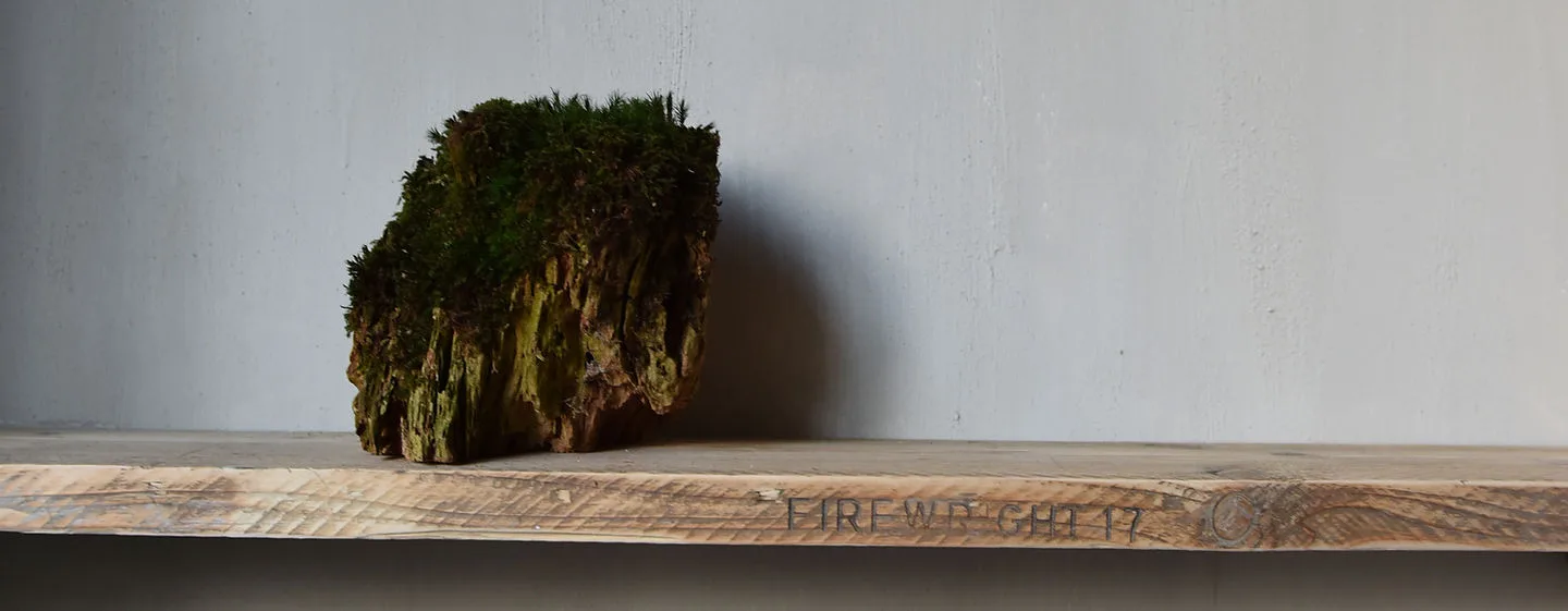 Moss, Edinburgh