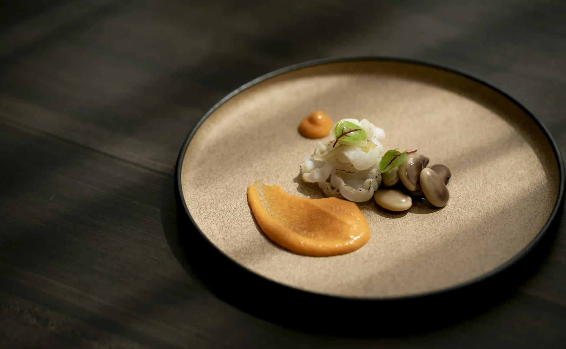 TOKi — photo 21