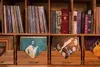 HiFi Wine Bar, McMinnville