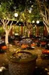 Spencer's Restaurant — photo 7