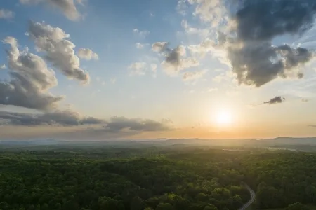 Woodlands — atmosphere