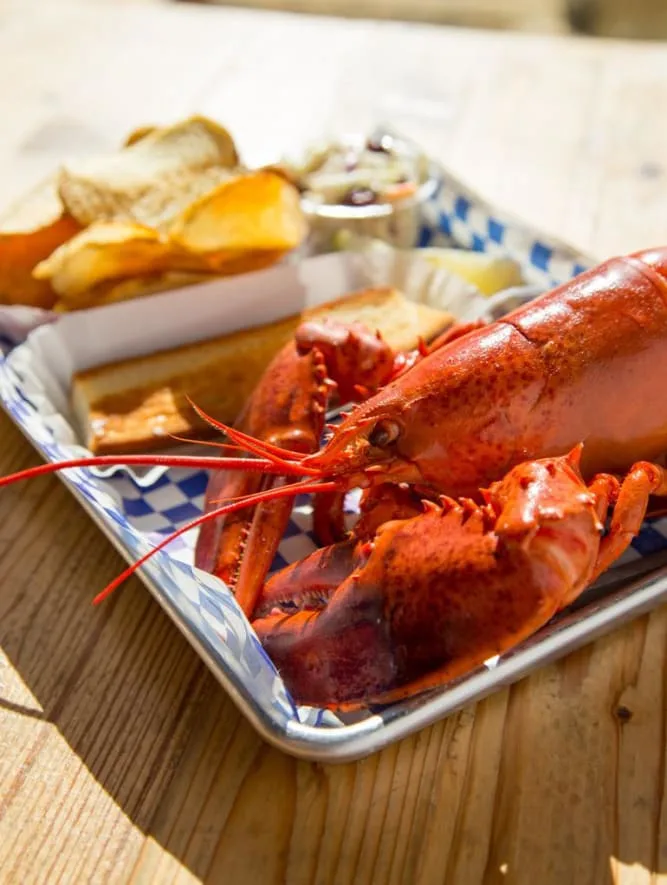 New England Lobster Eatery — photo 6