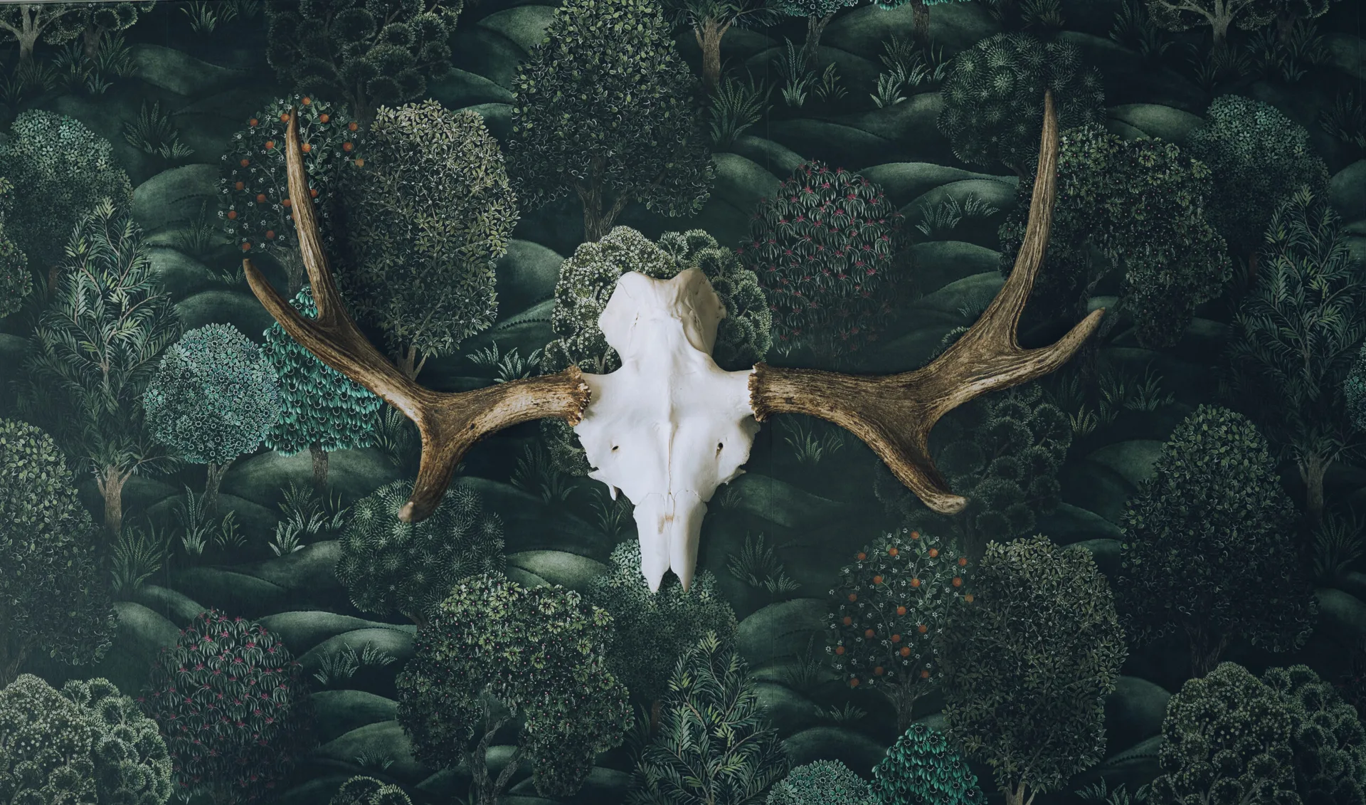 JORD — photo 68